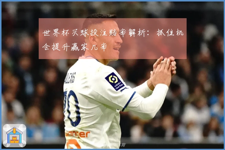 世界杯买球投注赔率解析：抓住机会提升赢家几率