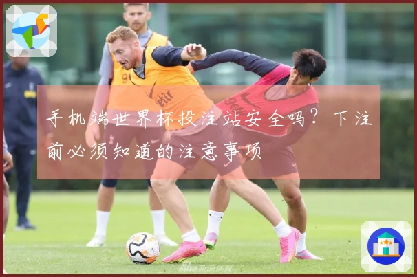 手机端世界杯投注站安全吗？下注前必须知道的注意事项