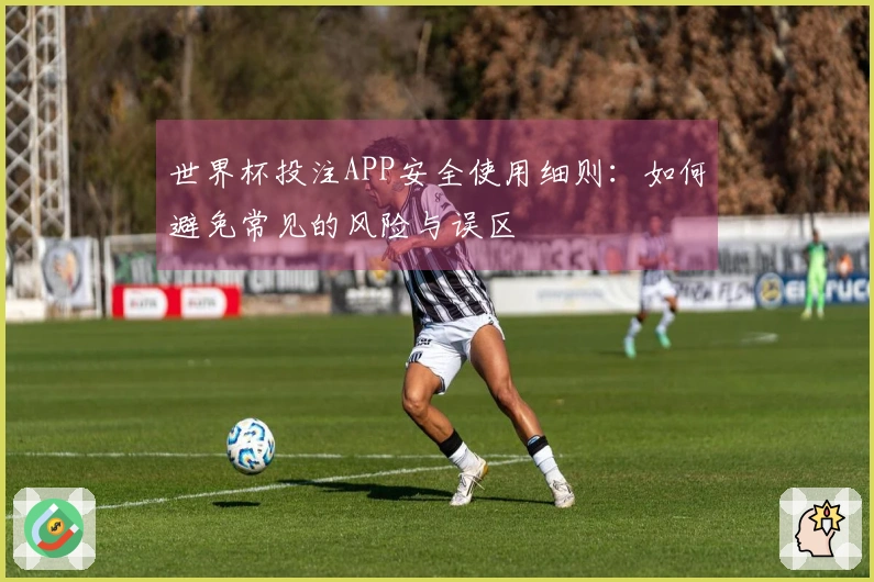 世界杯投注APP安全使用细则：如何避免常见的风险与误区