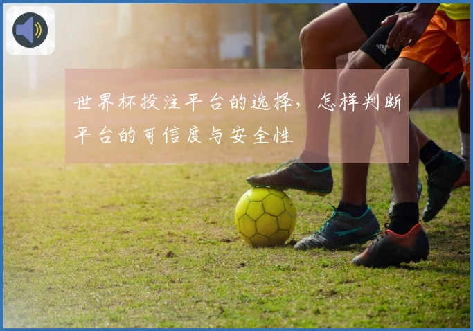 世界杯投注平台的选择，怎样判断平台的可信度与安全性