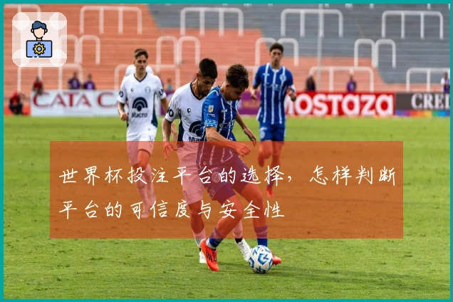 世界杯投注平台的选择，怎样判断平台的可信度与安全性