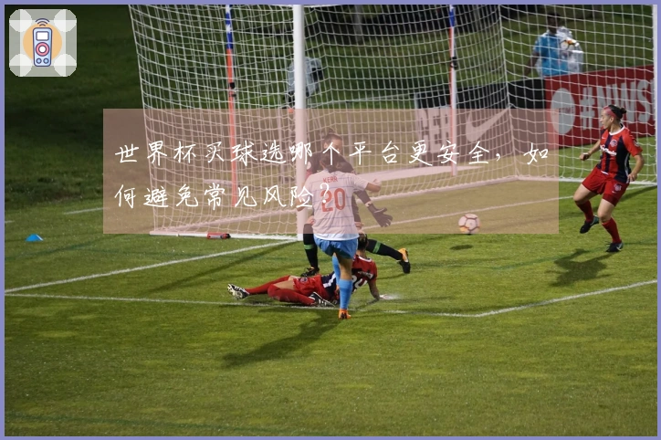 世界杯买球选哪个平台更安全，如何避免常见风险？